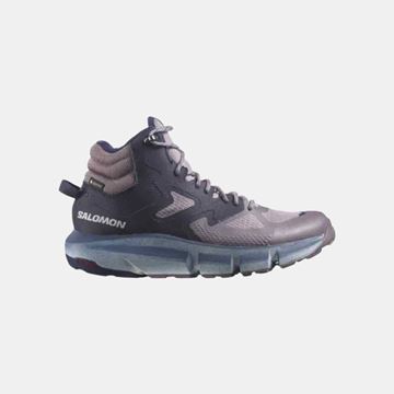 Picture of SALOMON PREDICT HIKE MID GTX W